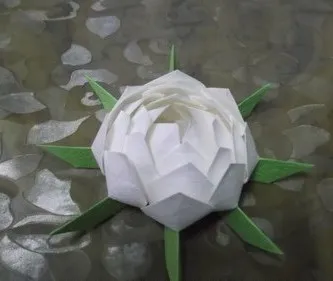 Cum de a face lotus de hârtie, Consiliile femei