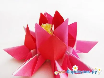 Cum de a face Lotus hârtie din mâna lui (hârtie) Cum de a face floare de hârtie de lotus din mâinile lui