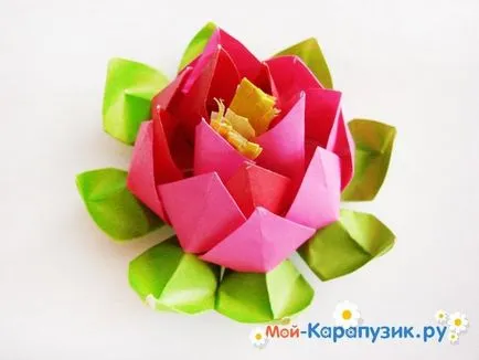 Cum de a face Lotus hârtie din mâna lui (hârtie) Cum de a face floare de hârtie de lotus din mâinile lui
