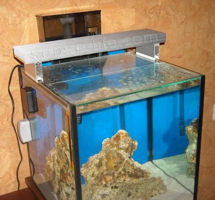 Cum hârtie Omnitriks - cum să facă hârtie de la Ben schema 10 ore