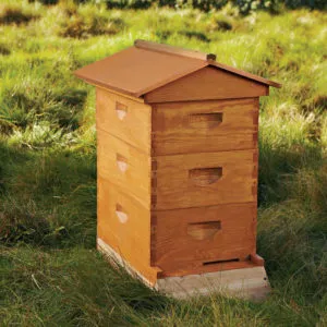 Cum sa faci un stup pentru albine, iar unele materiale pentru o mai bună