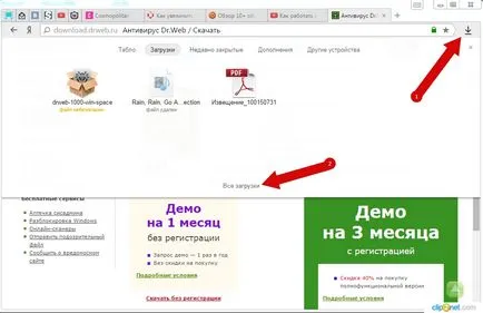 Cum de a descărca și instala software-ul antivirus gratuit (descărcare) Cum de a descărca și instala antivirus gratuit