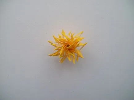 Cum de a face hârtie de flori asters (hârtie) Cum de a face flori de hârtie asters