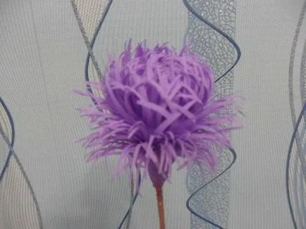 Cum de a face flori asteri de hârtie (cu mâinile lor) Cum de a face flori de hârtie asters