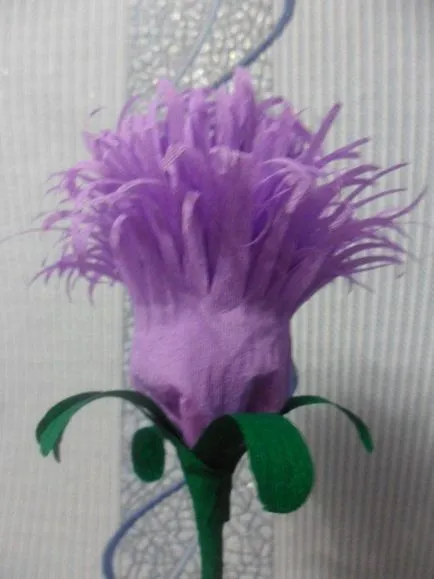 Cum de a face hârtie de flori asters (hârtie) Cum de a face flori de hârtie asters