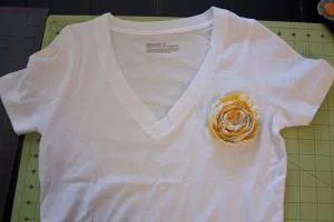 Cum de a decora un tricou cu mâinile sale (cel mai des) Cum de a decora un tricou cu mâinile