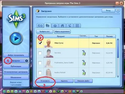 Cum se instalează în sims Sims 3 sims3pack și formatul SIM
