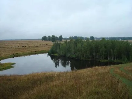 După cum vasyutka supraviețuit în compoziția de pădure a Hardy Boys (compoziție) După cum vasyutka supraviețuit în compoziția de pădure a Hardy Boys