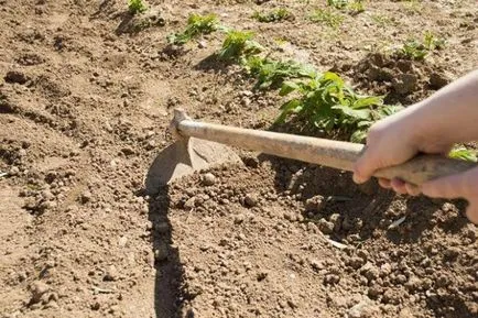 Cum să se alinieze parcela (neregularitățile teren) Cum să se alinieze teren