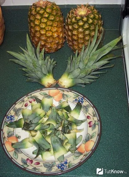 Cum să crească ananas la pas acasă cu pas ghid (a) Cum să crească ananas la pas cu pas ghid acasă