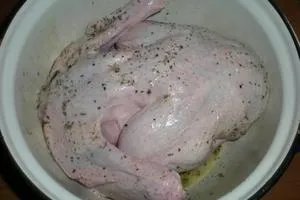 Cum la marinat rețete de gătit rață (murături) Cum la marinat rețete de gătit rață