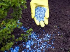 Clasificarea și aplicarea de insecticide pentru combaterea dăunătorilor