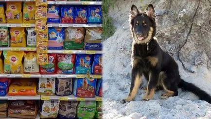 Hrănirea un catelus Shepherd si caine adult dieta germană, „da laba“