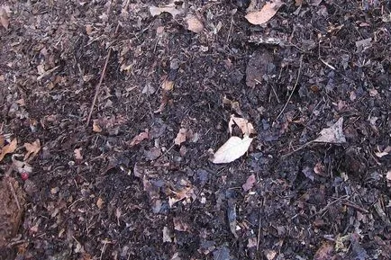 pit Compost la cabana