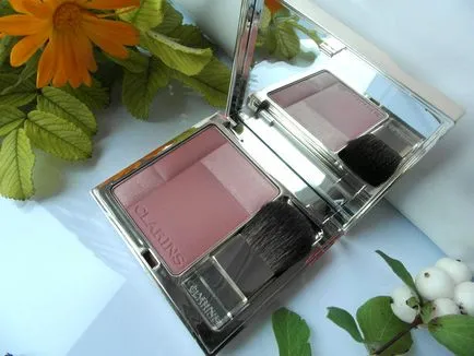 Clarinsși Rouge compacte roșească Prodige (număr umbră 05 lemn de trandafir) - comentarii, fotografii și preț