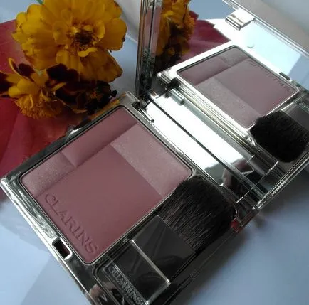 Clarinsși Rouge compacte roșească Prodige (număr umbră 05 lemn de trandafir) - comentarii, fotografii și preț