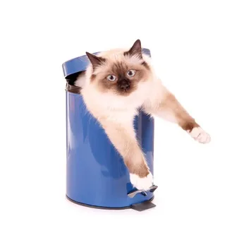 Cat etichete în casă