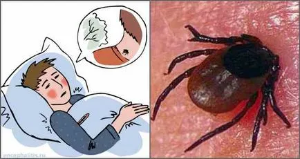 pericolul insidioasă a acarienilor care vă așteaptă (bifați pericol) acarieni pericolele insidios, care se află în așteptare pentru tine