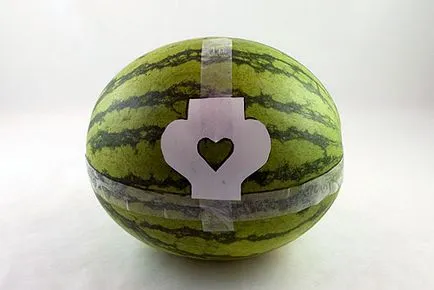Coș de pepene verde (experienta Carver neexperimentat), ea însăși
