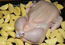 Pui umplut cu hrișcă - o rețetă cu pas cu pas fotografii (hrișcă) Pui umplut cu hrișcă - o rețetă cu pas cu pas fotografii