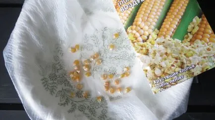 Porumb, totul în creștere până la cabana (dacha) Porumb, totul despre maturizare în țară