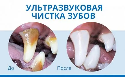 Veterinary Clinic de ore Zoovet (clinica) Clinica veterinară ore Zoovet