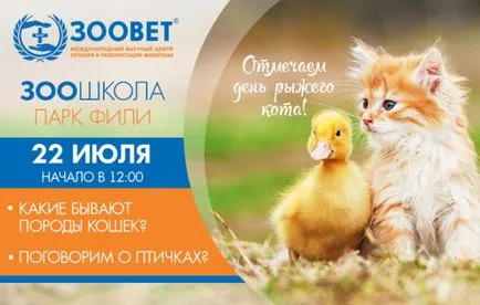 Veterinary Clinic de ore Zoovet (veterinar) Clinica veterinară ore Zoovet