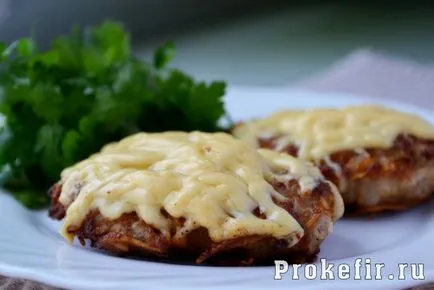 kebab de pui pe frigarui în cuptor - 5 rețete - reteta cu pas cu pas fotografii