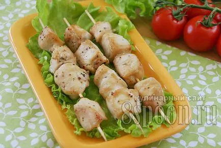 kebab de pui pe frigarui in reteta cuptorului cu o fotografie