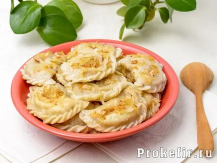 kebab de pui pe frigarui în cuptor - 5 rețete - reteta cu pas cu pas fotografii