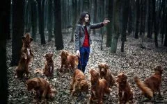 câine latră mp3 asculta growl latră urlând Căței descarca voce online latră mârâit urlet