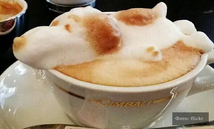Latte arta cum să facă desene pe cafea la domiciliu, yacenka (cafea) Latte arta cum să facă desene pe cafea la domiciliu, yacenka