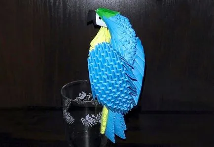 Quilling păsări și porumbei de pui, Firebird și un papagal, bullfinches și țâțe, aspect și echipamente, maestru