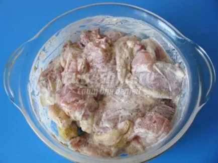 Pui în sos de maioneza coaptă în cuptor (cuptor) Pui în sos de maioneza coaptă în cuptor