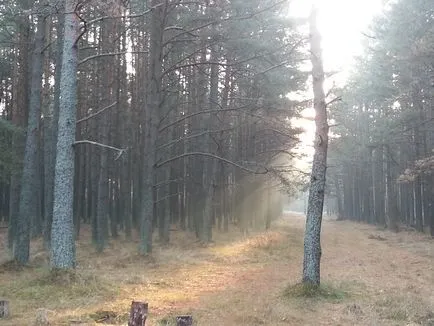 Spit Curonian, inaltime Muller, multe fotografii - am întâlnit o zi de unitate națională, blog-ul de afaceri