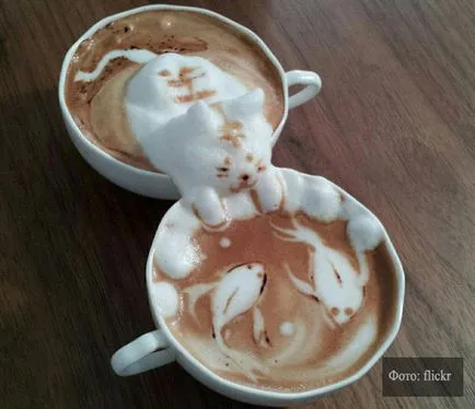 Latte arta cum să facă desene pe cafea la domiciliu, yacenka (băuturi) Latte arta cum să facă desene pe cafea la domiciliu, yacenka