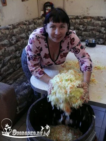 Varză acră în timpul iernii - în găleată, baril, bazin, bănci, reteta rapida clasic