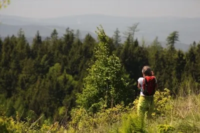 Cum să gătești cartofi cruzi prăjiți cu cartofi, rețete cu fotografii, videoclipuri