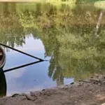 Prinderea sumbră în cazul în care și ce să pescuiască sumbră (sumbră) Prinderea sumbră în cazul în care și ce să pescuiască sumbră