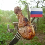 Cele mai bune rețete de modul în care să murarea un shish kebab frigarui de carne de porc, pui, pește, curcan (reteta) Cele mai bune rețete de modul în care să murarea un shish kebab frigarui de carne de porc, pui, pește, curcan