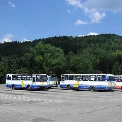 Licență pentru a transporta pasageri dezvolta afacerea