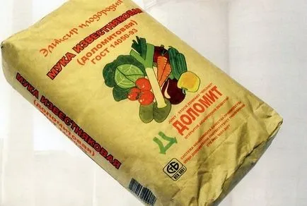 cultivarea karantansky Leek semințelor cu mâinile lor - un ghid detaliat! (Seed) cultivarea karantansky Leek semințelor cu mâinile lor - un ghid detaliat!