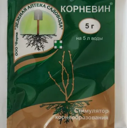 cultivarea karantansky Leek semințelor cu mâinile lor - un ghid detaliat! (Leek) cultivarea karantansky Leek semințelor cu mâinile lor - un ghid detaliat!