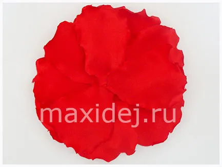 Maki mâinile proprii master class pas cu pas