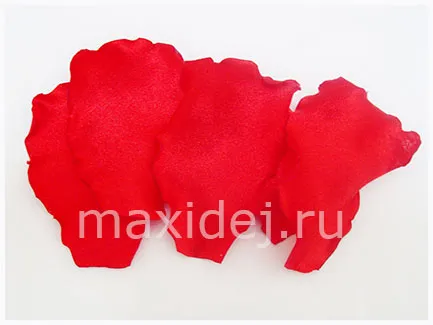 Maki mâinile proprii master class pas cu pas
