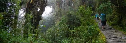 Machu Picchu, vechiul oras incas, tot adevărul (vechi) Machu Picchu, vechiul oras incas, tot adevărul