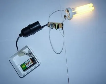 Ansamblu circuit de specii de iluminat fluorescent