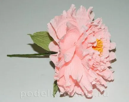 carton ondulat Maki cu propriile sale mâini, o cutie de idei și ateliere
