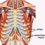 Simptomele intercostal nevralgiei și tratament la domiciliu (intercostale) simptome și tratament la domiciliu nevralgie intercostală