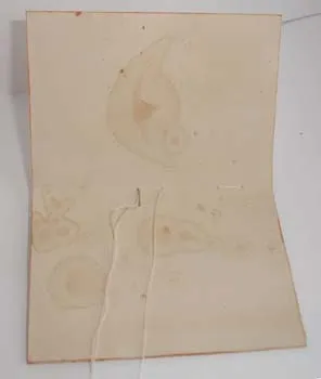 notebook-uri scrapbooking Master class cu propriile lor mâini